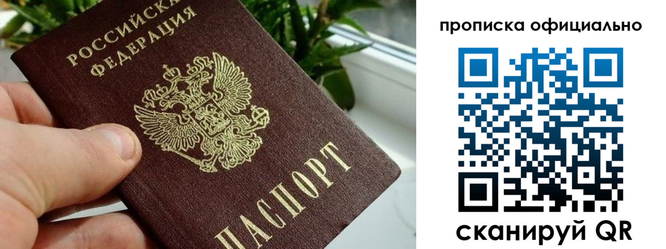 прописка поиск в Коми